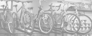 Hilton Head Island Bike Rental Shop